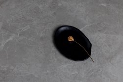 SPC ������� Steinholz