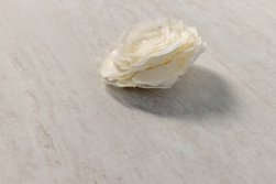 SPC ������� Steinholz