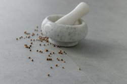 SPC ������� Steinholz