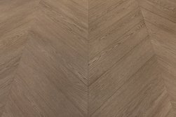 SPC ������� Steinholz