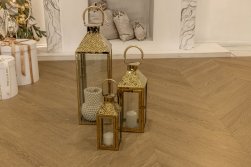 SPC ������� Steinholz