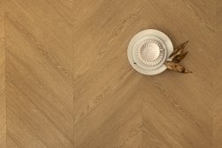 SPC ������� Steinholz