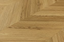 SPC ������� Steinholz