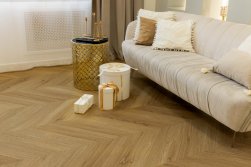 SPC ������� Steinholz