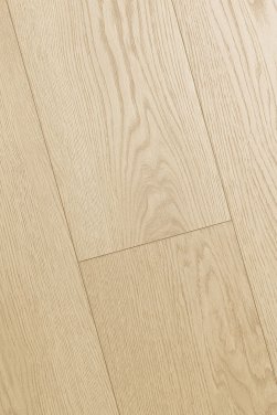 ������� 3D FIRST FLOOR (��-�� �����)