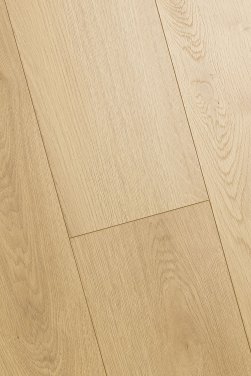 ������� 3D FIRST FLOOR (��-�� �����)