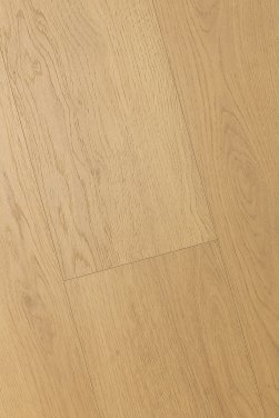 ������� 3D FIRST FLOOR (��-�� �����)