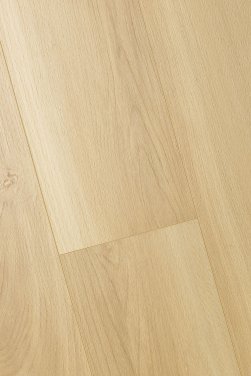 ������� 3D FIRST FLOOR (��-�� �����)