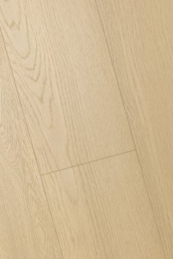 ������� 3D FIRST FLOOR (��-�� �����)