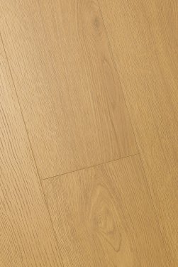 ������� 3D FIRST FLOOR (��-�� �����)