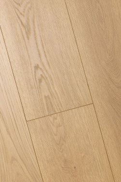 ������� 3D FIRST FLOOR (��-�� �����)