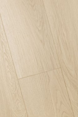 ������� 3D FIRST FLOOR (��-�� �����)