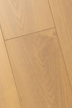 ������� 4D FIRST FLOOR (��-�� �����)