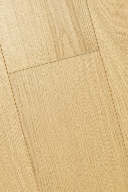 ������� 4D FIRST FLOOR (��-�� �����)