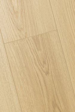 ������� 4D FIRST FLOOR (��-�� �����)