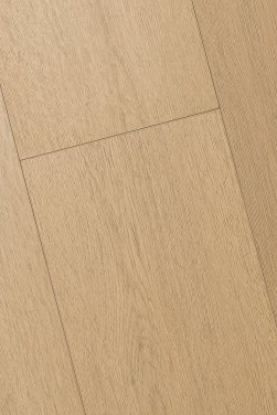 ������� 4D FIRST FLOOR (��-�� �����)