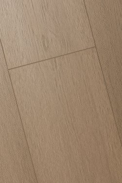 ������� 4D FIRST FLOOR (��-�� �����)