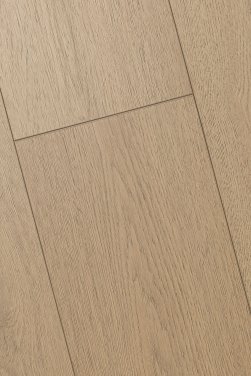 ������� 4D FIRST FLOOR (��-�� �����)