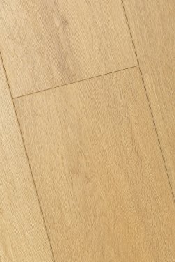 ������� 4D FIRST FLOOR (��-�� �����)