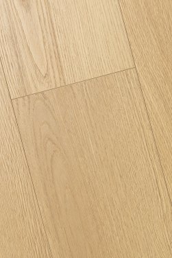 ������� 4D FIRST FLOOR (��-�� �����)