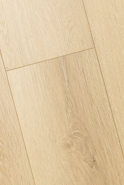 ������� 4D FIRST FLOOR (��-�� �����)